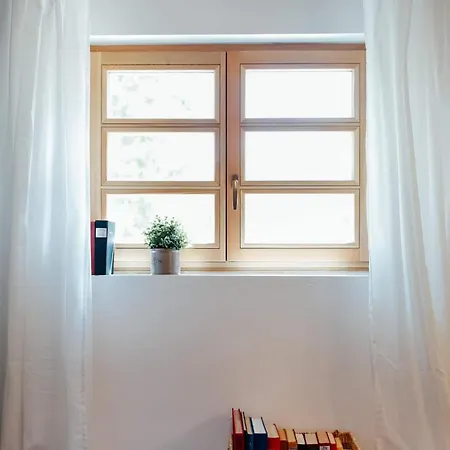 Aussee- Atelier Salzherrenhof- Kueche, Wlan, Netflix