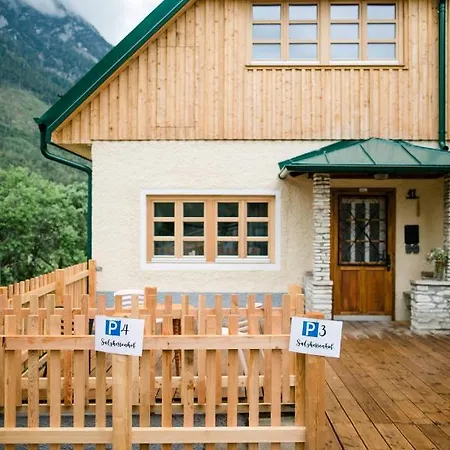 Aussee- Atelier Salzherrenhof- Kueche, Wlan, Netflix