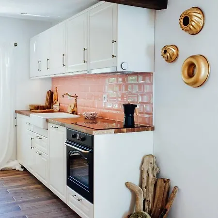 Aussee- Atelier Salzherrenhof- Kueche, Wlan, Netflix Apartmán *