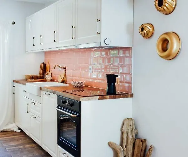 Aussee- Atelier Salzherrenhof- Küche, Wlan, Netflix Apartamento *